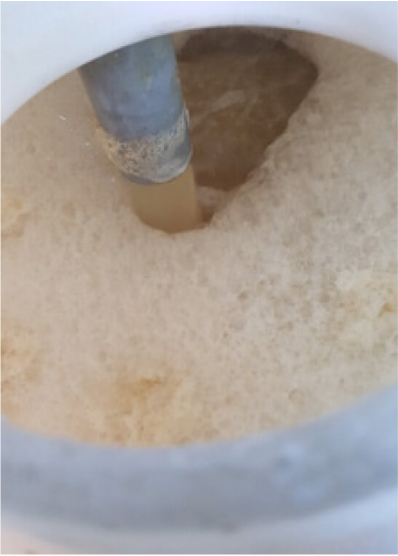 Gas seal return water
