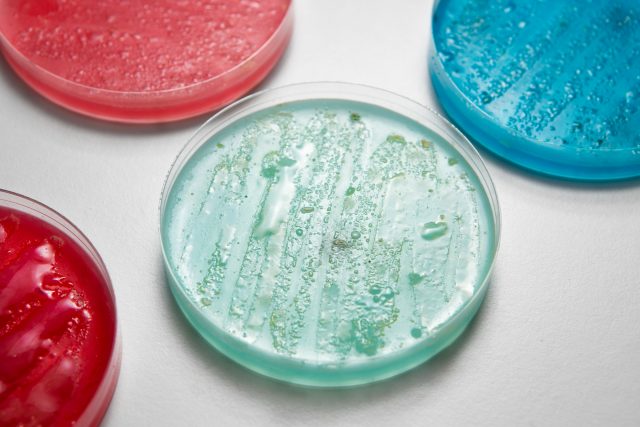 Coagulants Australia